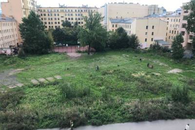 На Петроградской выкосили сад, который петербуржцы облагородили своими руками - spb.mk.ru