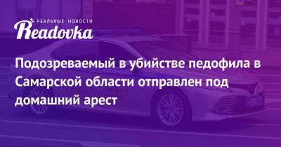Подозреваемый в убийстве педофила в Самарской области отправлен под домашний арест - readovka.news - Самарская обл.