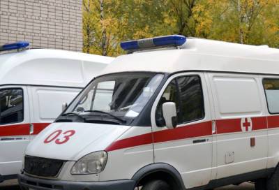 В Петербурге в пожаре погиб пенсионер - online47.ru - Санкт-Петербург - р-н. Московский