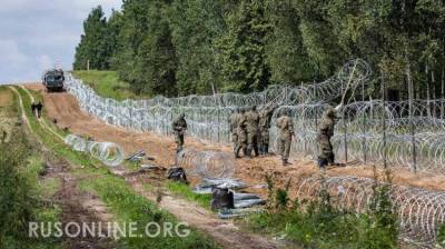 Александр Лукашенко - Белоруссия стягивает войска с границе с ЕС - rusonline.org - Белоруссия