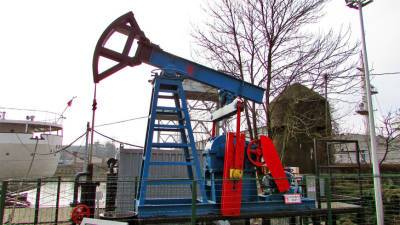 Эксперты нефтяного рынка рассказали о «черном золоте», которое окружает людей - mir24.tv - Россия