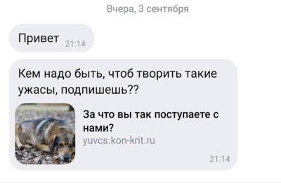Донецких девушек шантажируют в социальной сети ВКонтакте - mk.ru