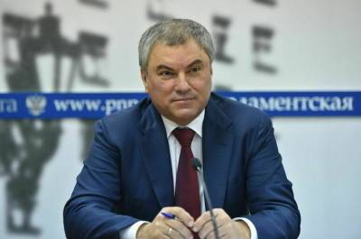 Вячеслав Володин - Володин рассказал, какие меры помогут убрать с улиц бродячих собак - pnp.ru