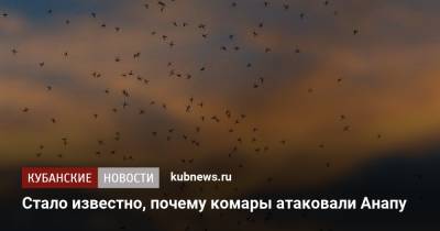 Стало известно, почему комары атаковали Анапу - kubnews.ru - Анапа - Краснодарский край