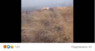 Арман Татоян - Омбудсмен Армении заявил об уничтожении пожарами около 40 гектаров пастбищ - kavkaz-uzel.eu - Армения - Азербайджан - Гегаркуникской обл. - район Кельбаджарский