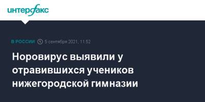 Давид Мелик-Гусейнов - Норовирус выявили у отравившихся учеников нижегородской гимназии - interfax.ru - Москва - Нижний Новгород - Нижний Новгород