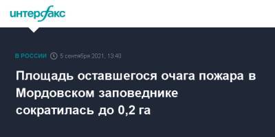 Площадь оставшегося очага пожара в Мордовском заповеднике сократилась до 0,2 га - interfax.ru - Москва - республика Мордовия