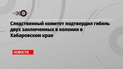 Следственный комитет подтвердил гибель двух заключенных в колонии в Хабаровском крае - echo.msk.ru - Хабаровский край - Амурск