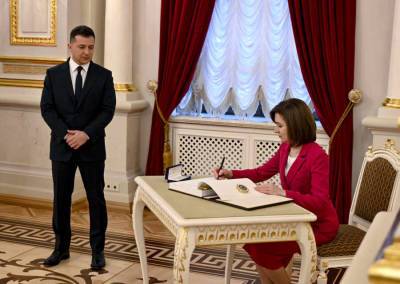 Владимир Плахотнюк - Майя Санду - В Молдавии потребовали отозвать подпись Санду под декларацией «Крымской платформы» - news-front.info - Россия - Украина - Молдавия