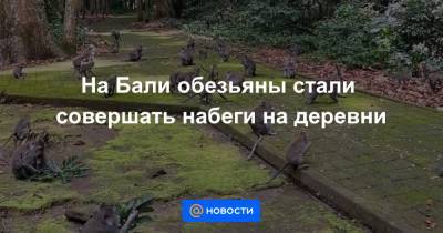 На Бали обезьяны стали совершать набеги на деревни - news.mail.ru