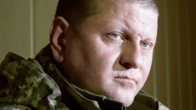 Дмитрий Белик - Валерий Залужный - Главком ВСУ собрался проехать на танке по Красной площади: «Аккуратно!» - 5-tv.ru - Москва - Россия - Украина - Севастополь
