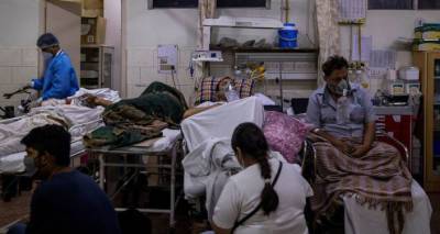 Возвращение страха - от вируса Нипах в Индии умер подросток - ru.armeniasputnik.am - Армения - Индия - Малайзия - India - штат Керала