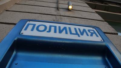 Приезжие устроили стрельбу из автомобиля под Финляндским ж/д мостом в Петербурге - inforeactor.ru - Санкт-Петербург - респ. Дагестан