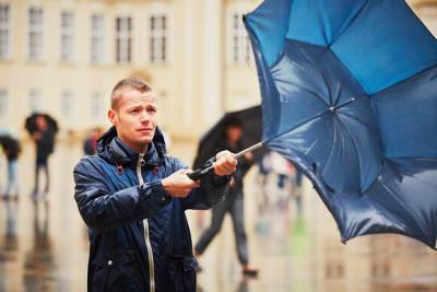 Евгений Тишковец - Жителей столичного региона предупредили о сильном ветре - yur-gazeta.ru - Москва - Россия - Московская обл.