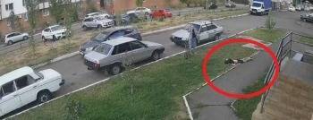 Из окна высотки вылетел 16-летний юноша и чуть не убил детей - vologda-poisk.ru - Оренбург - Оренбургская обл.