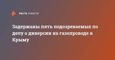 Задержаны пять подозреваемых по делу о диверсии на газопроводе в Крыму - ren.tv - Крым - Симферополь - с. Перевальное