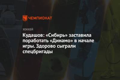 Алексей Кудашов - Сергей Емельянов - Кудашов: «Сибирь» заставила поработать «Динамо» в начале игры. Здорово сыграли спецбригады - championat.com - Москва