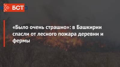 «Было очень страшно»: в Башкирии спасли от лесного пожара деревни и фермы - bash.news - Башкирия