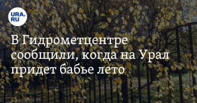 Евгений Тишковец - Роман Вильфанд - В Гидрометцентре сообщили, когда на Урал придет бабье лето - ura.news - Москва - Россия