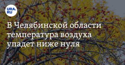 В Челябинской области температура воздуха упадет ниже нуля - ura.news - Челябинская обл.