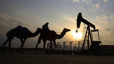 TotalEnergies инвестирует $27 млрд в энергетику Ирака - trend.az - Франция - Ирак