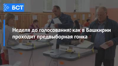 Неделя до голосования: как в Башкирии проходит предвыборная гонка - bash.news - Россия - Башкирия