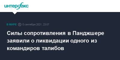 Силы сопротивления в Панджшере заявили о ликвидации одного из командиров талибов - interfax.ru - Москва - Россия - Афганистан - Талибан