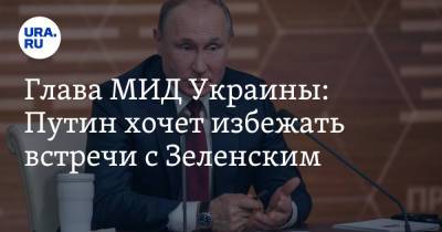 Владимир Зеленский - Владимир Путин - Дмитрий Песков - Петр Толстой - Дмитрий Кулеба - Глава МИД Украины: Путин хочет избежать встречи с Зеленским - ura.news - Россия - Украина - Киев - Крым