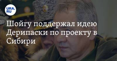 Сергей Шойгу - Олег Дерипаска - Шойгу поддержал идею Дерипаски по проекту в Сибири - ura.news - Россия - Китай - Афганистан