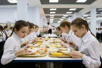Родителям Вологодчины расскажут все о питании в школах: горячая линия стартует уже сегодня - vologda-poisk.ru - Вологодская обл. - Череповец
