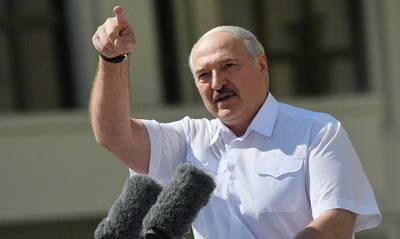 Александр Лукашенко - В белорусском СИЗО нашли россиянку, которую арестовали за твит с критикой Лукашенко - og.ru - Белоруссия - Twitter