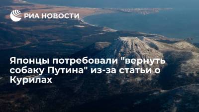 Владимир Путин - Читатели NHK возмутились празднованием на Курилах и захотели "вернуть собаку Путина" - ria.ru - Москва - Россия - Токио - Япония
