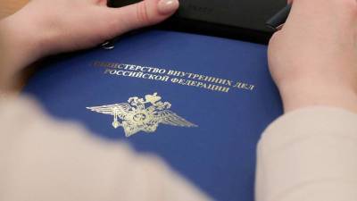 В МВД рассказали о новом способе мошенничества через «зеркальные» сайты банков - vm.ru - Россия