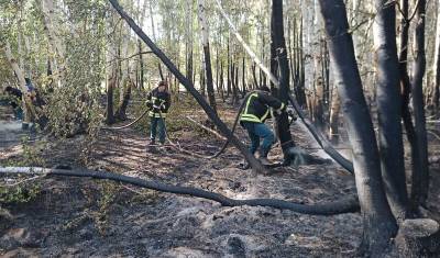 В Баймакском районе Башкирии полностью ликвидирован крупный очаг природного пожара - mkset.ru - Башкирия - Магнитогорск - район Баймакский