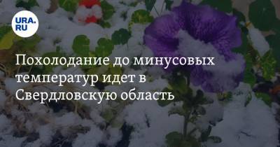 Похолодание до минусовых температур идет в Свердловскую область - ura.news - Россия - Свердловская обл. - Пермский край