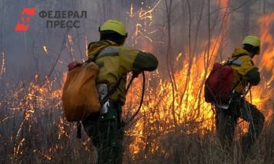 Омским поселениям грозят лесные пожары - fedpress.ru - Омск - Омская обл. - район Одесский