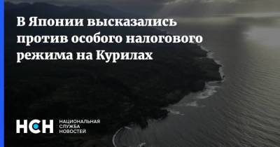 Владимир Путин - Кацунобу Като - В Японии высказались против особого налогового режима на Курилах - nsn.fm - Россия - Япония