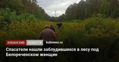 Спасатели нашли заблудившихся в лесу под Белореченском женщин - kubnews.ru - Сочи - Краснодарский край - Ставрополь - Белореченск