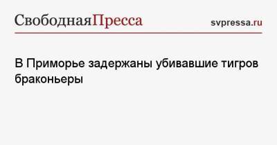В Приморье задержаны убивавшие тигров браконьеры - svpressa.ru - Россия - США - Приморье край