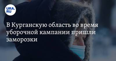 В Курганскую область во время уборочной кампании пришли заморозки - ura.news - Курганская обл.