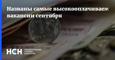 Названы самые высокооплачиваемые вакансии сентября - nsn.fm