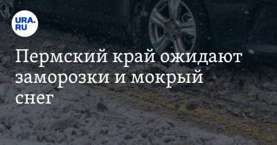 Пермский край ожидают заморозки и мокрый снег - ura.news - Пермский край