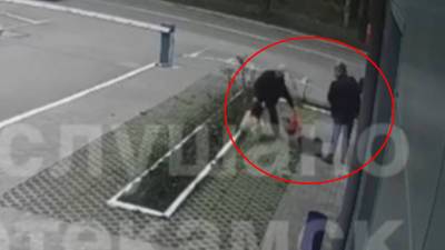 В Башкирии мужчина одним ударом убил собаку, которая на него залаяла - bash.news - Башкирия - Нефтекамск