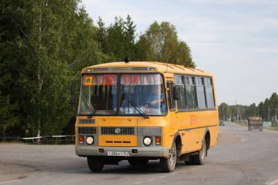 Елена Шмелева - В школьном автобусном парке Петербурга появятся ещё 13 автобусов - abnews.ru - Санкт-Петербург
