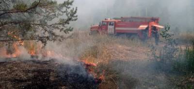 Жители Сургутского района заявили о поджоге леса - nakanune.ru - Россия - Сургут - Югра - район Сургутский