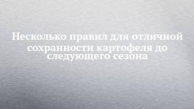 Несколько правил для отличной сохранности картофеля до следующего сезона - chelny-izvest.ru