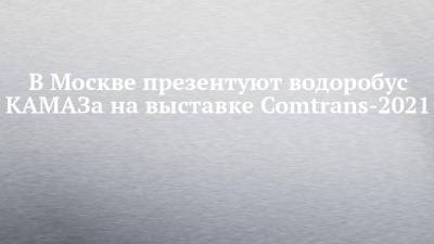 В Москве презентуют водоробус КАМАЗа на выставке Comtrans-2021 - chelny-izvest.ru - Москва - Камаз