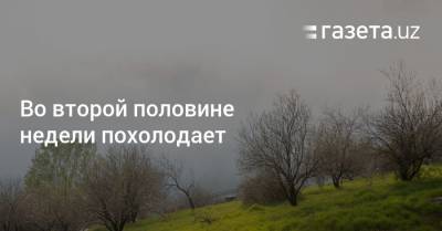 Во второй половине недели похолодает - gazeta.uz - Узбекистан