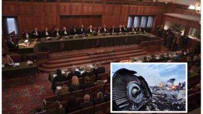 В Нидерландах возобновляется суд в деле о сбитом МН17 - hubs.ua - Украина - Англия - Австралия - Германия - Канада - Новая Зеландия - Голландия - Малайзия - Индонезия