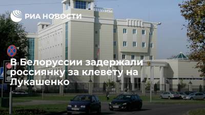 Алексей Маскалев - Посольство в Минске: за клевету на Лукашенко задержали россиянку Ирину Викхольм - ria.ru - Москва - Россия - Белоруссия - Минск